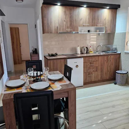 Curcic 1 Apartment Soko Banja