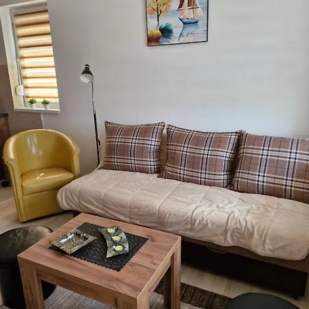 Apartment Curcic 1 Soko Banja
