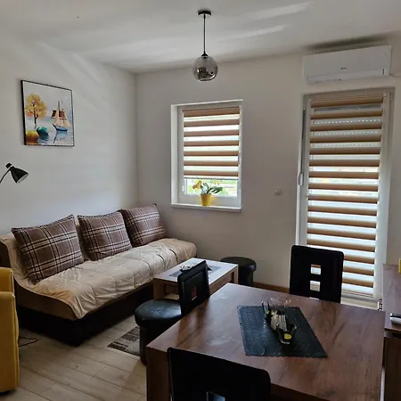 Curcic 1 소코 반자